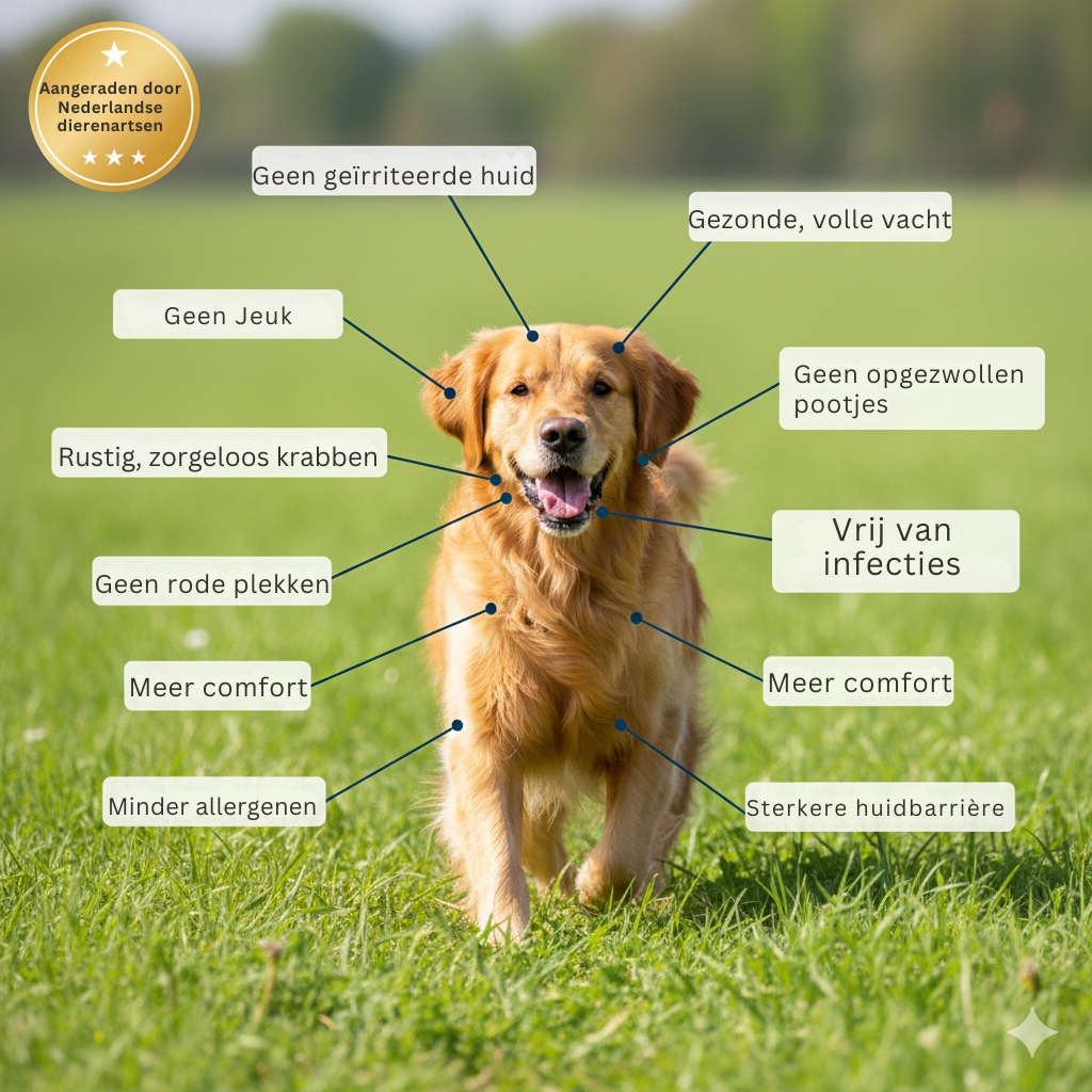 Itch Relief Chews | For healthier skin and coat