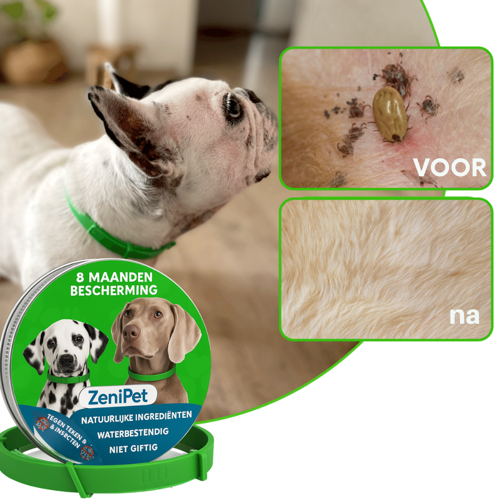 Zenipet™ – 8 Maanden Beschermband tegen Vlooien & Teken